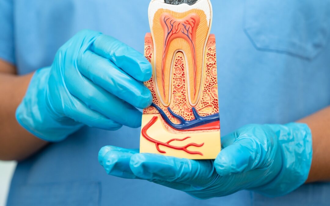 root canal therapy scottsdale
