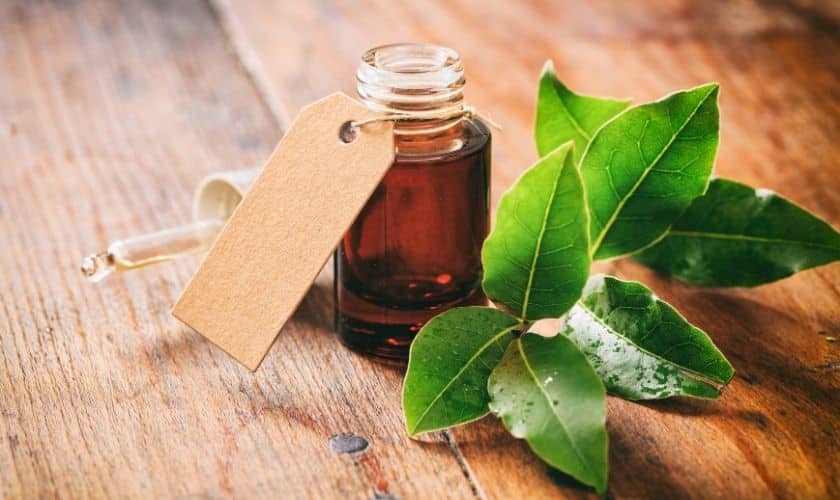 Tea Tree Oil for Gum Infection: Benefits, Risks & Use